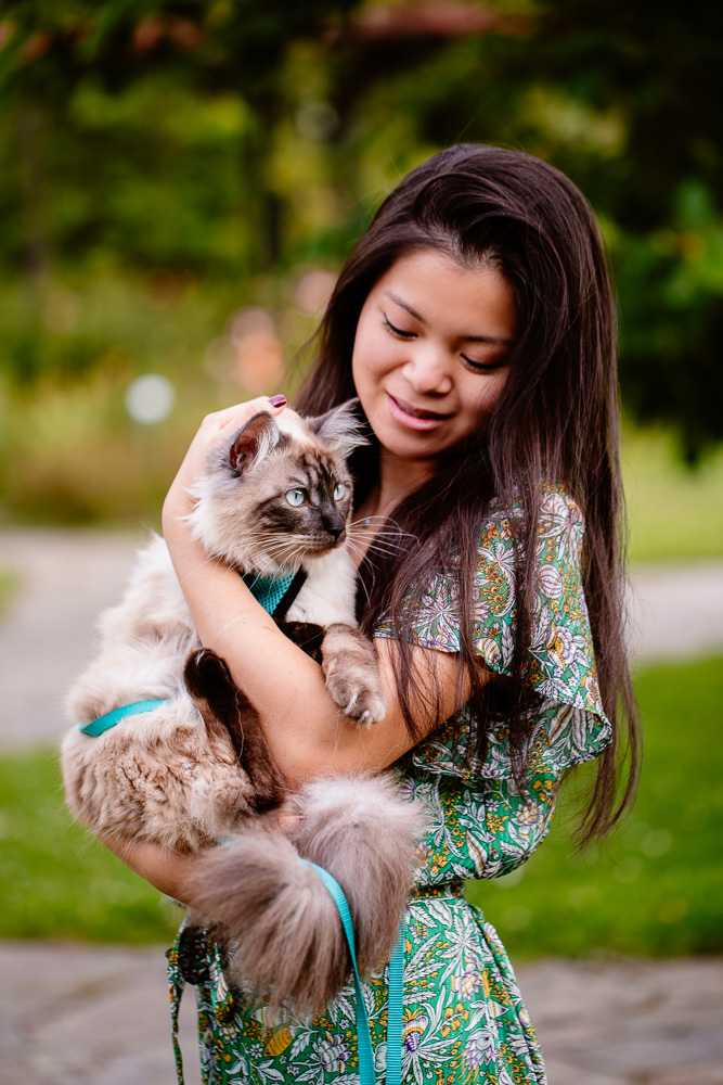 photographe félin chat Nantes harnais ragdolls