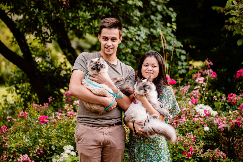 photographe félin chat Nantes
