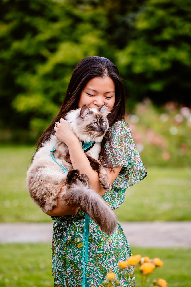 photographe félin chat Nantes harnais ragdolls