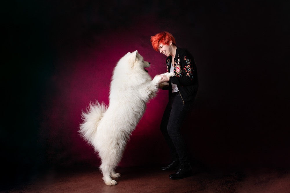 portrait chien Samoyede blanc studio Nantes