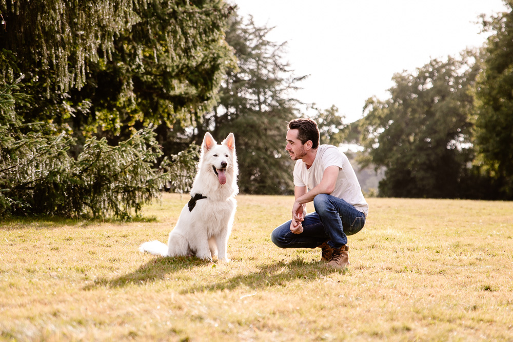 photographe chien Nantes Loire-Atlantique