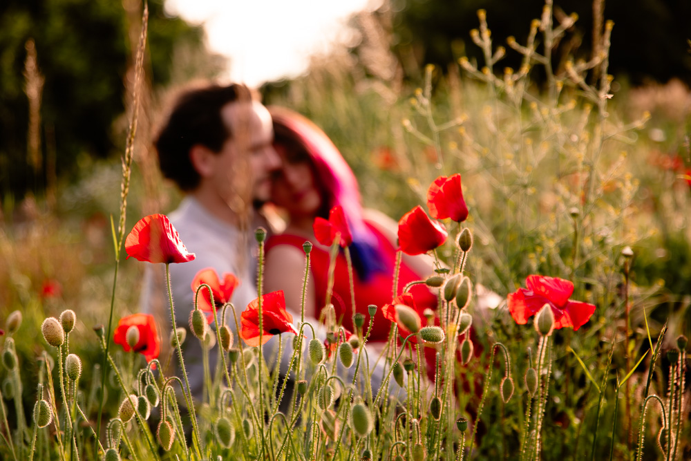 love couple photographe Nantes lifestyle coquelicots